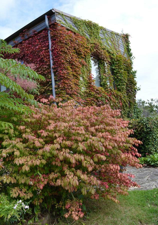 Hotel Jardin De Belle Vue Quimperlé Exteriér fotografie